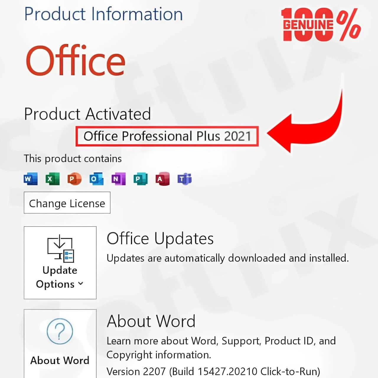 office-professional-plus-2021-for-lifetime-1-user-pc-activation-original-imahebwnw6yvmdap.jpeg